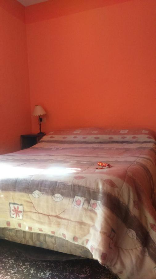 Hostel Internacional Mendoza Eksteriør bilde